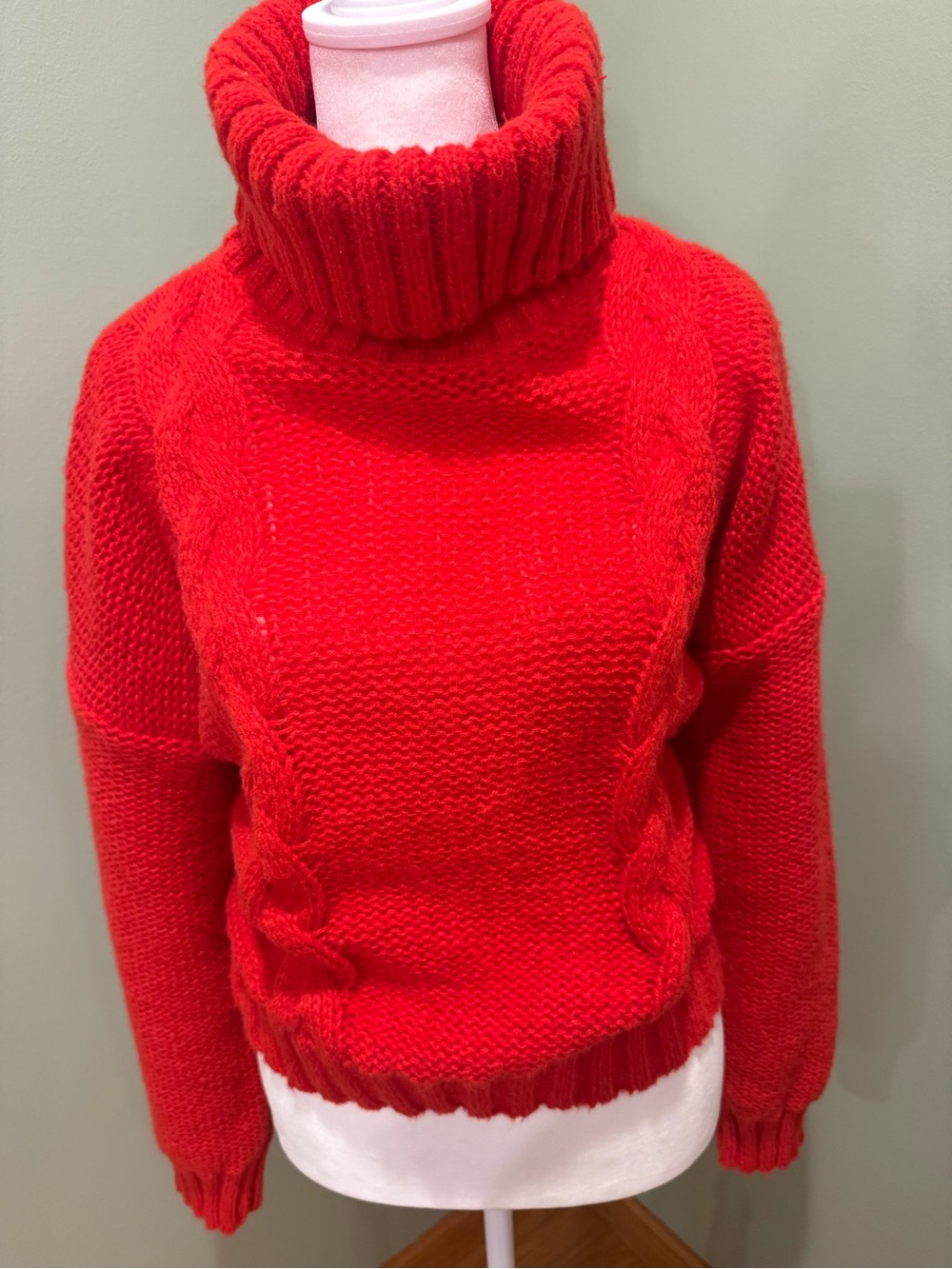 Vici Red Cable Knit Turtleneck Sweater